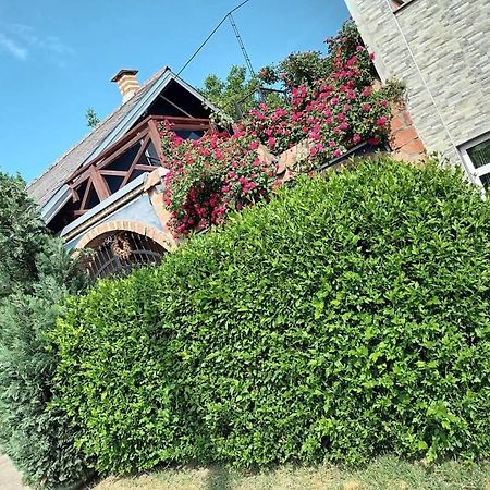 Apartman Vrdnicak Vrdnik Exteriör bild