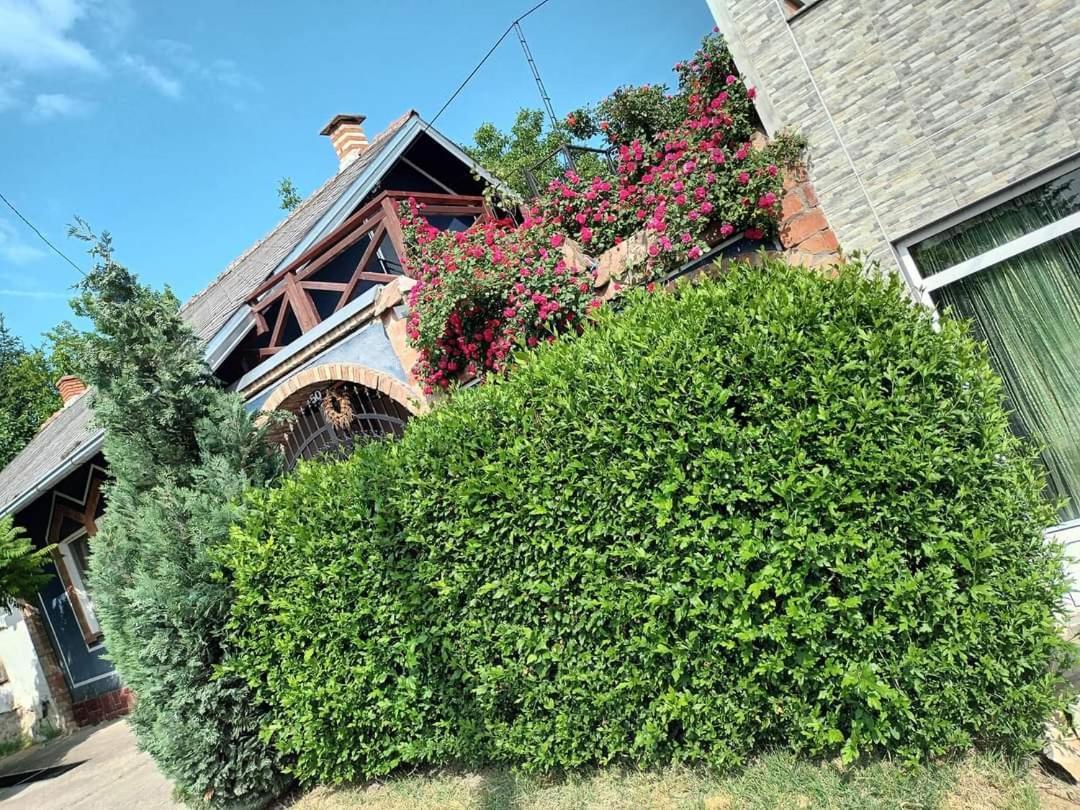 Apartman Vrdnicak Vrdnik Exteriör bild