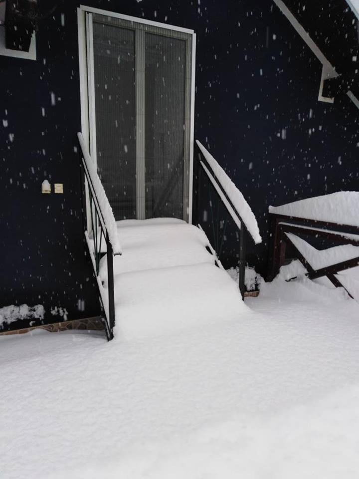 Apartman Vrdnicak Vrdnik Exteriör bild